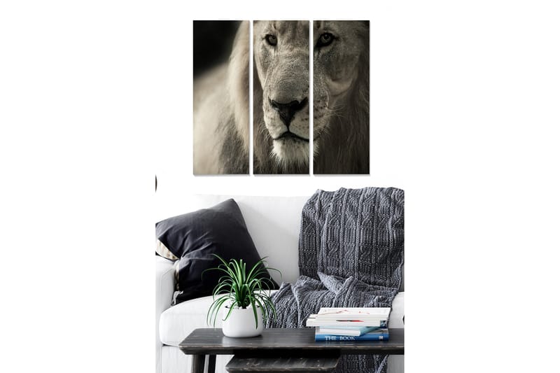 Trælærredstryk 3-delt 50x70 cm - Majestætisk løvehoved nærbillede - Grå / Beige / Sort - Boligtilbehør - Billeder & kunst - Billeder på lærred