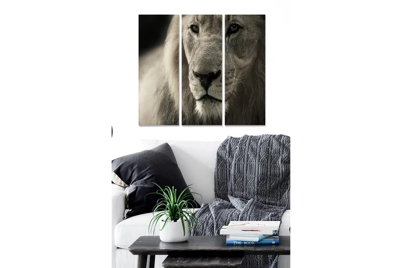 Trælærredstryk 3-delt 50x70 cm - Majestætisk løvehoved nærbillede, Grå / Beige / Sort