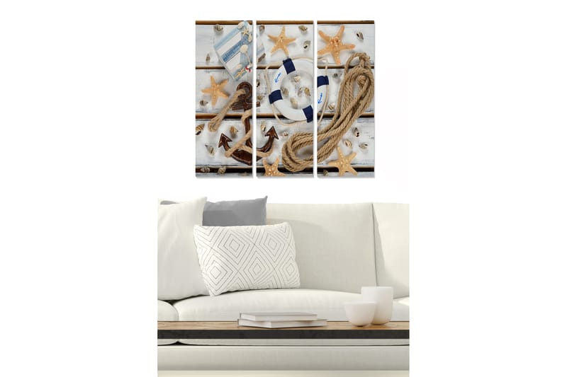 Trælærredstryk 3-delt 50x70 cm - Marinestilleben med skaller, stjerneformet søstjerne og en redningskrans, Beige / Blå / Brun