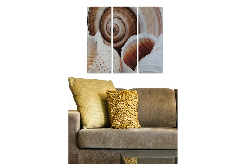 Trælærredstryk 3-delt 50x70 cm - Muslinger med detaljerede mønstre og naturlige former, Hvid / Beige / Brun