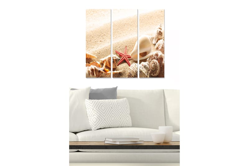 Trælærredstryk 3-delt 50x70 cm - Muslinger og en søstjerne på en sandstrand, Beige / Rød / Brun