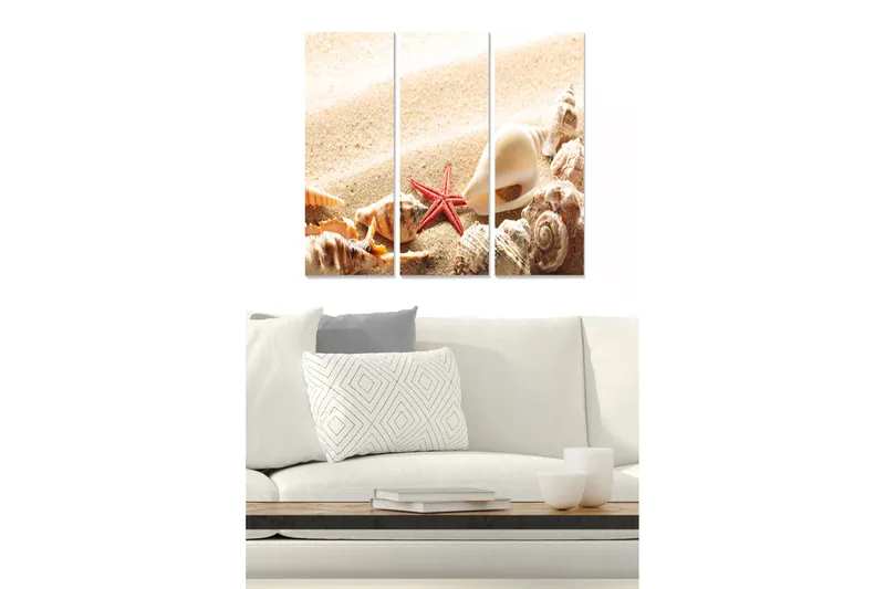 Trælærredstryk 3-delt 50x70 cm - Muslinger og en søstjerne på en sandstrand, Beige / Rød / Brun