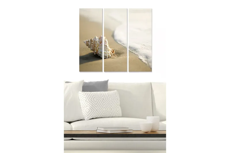 Trælærredstryk 3-delt 50x70 cm - Muslingeskal på sandstranden ved havet, Hvid / Beige / Lyseblå