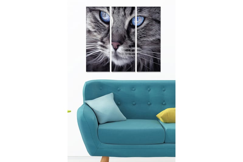 Trælærredstryk 3-delt 50x70 cm - Nærbillede af en kat med intense blå øjne, Grå / Blå