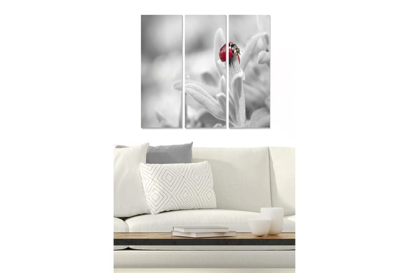 Trælærredstryk 3-delt 50x70 cm - Rød mariehøne på en grøn plante, Rød / Grøn / Sort