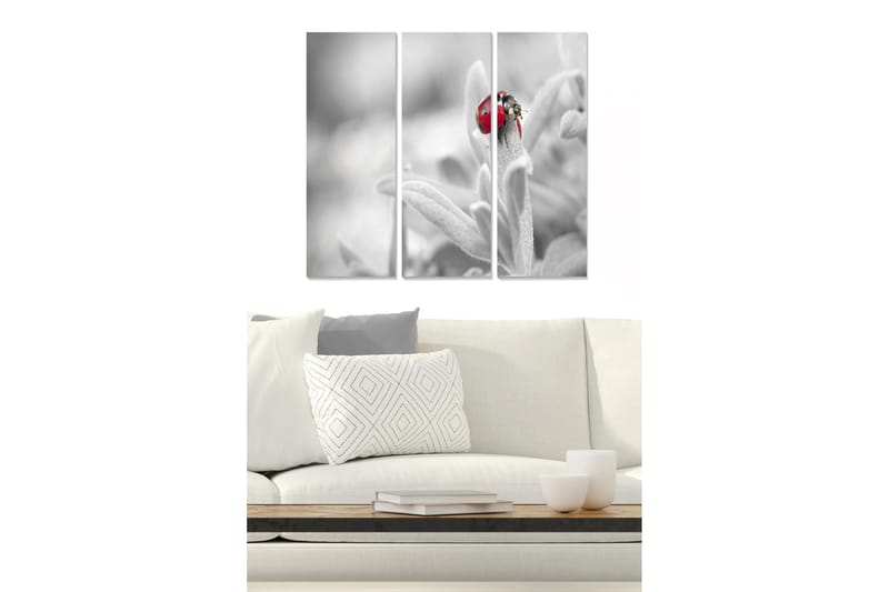 Trælærredstryk 3-delt 50x70 cm - Rød mariehøne på en grøn plante, Rød / Grøn / Sort