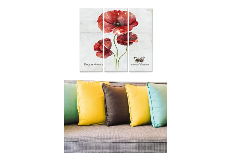 Trælærredstryk 3-delt 50x70 cm - Rød valmue med botanisk illustration, Rød / Grøn / Beige