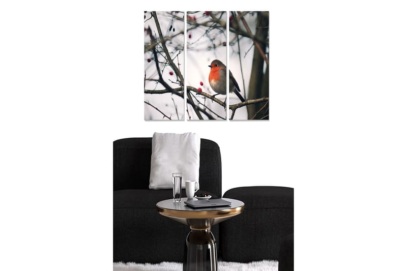 Trælærredstryk 3-delt 50x70 cm - Rødbrystet fugl på en gren med bær, Grå / Rød / Brun