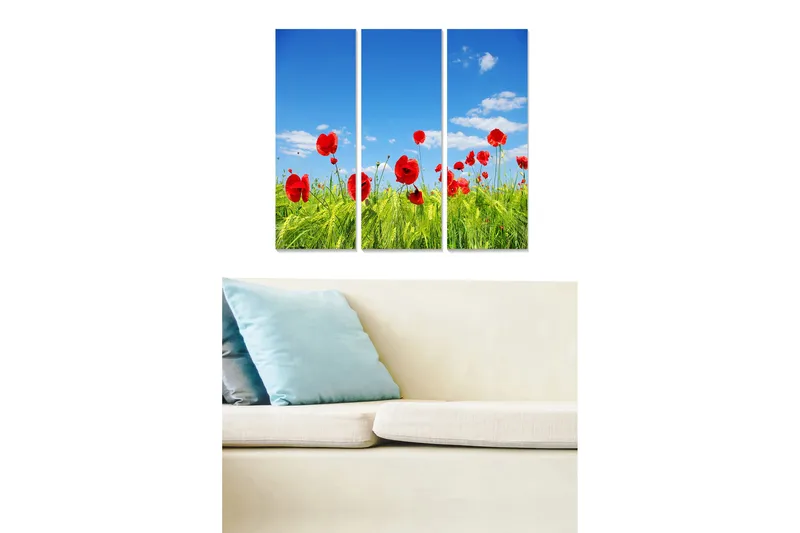 Trælærredstryk 3-delt 50x70 cm - Røde valmuer i en grøn eng under en klar blå himmel, Rød / Grøn / Blå