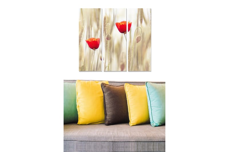 Trælærredstryk 3-delt 50x70 cm - Røde valmuer i et blødt, gult og beige landskab, Rød / Gul / Beige