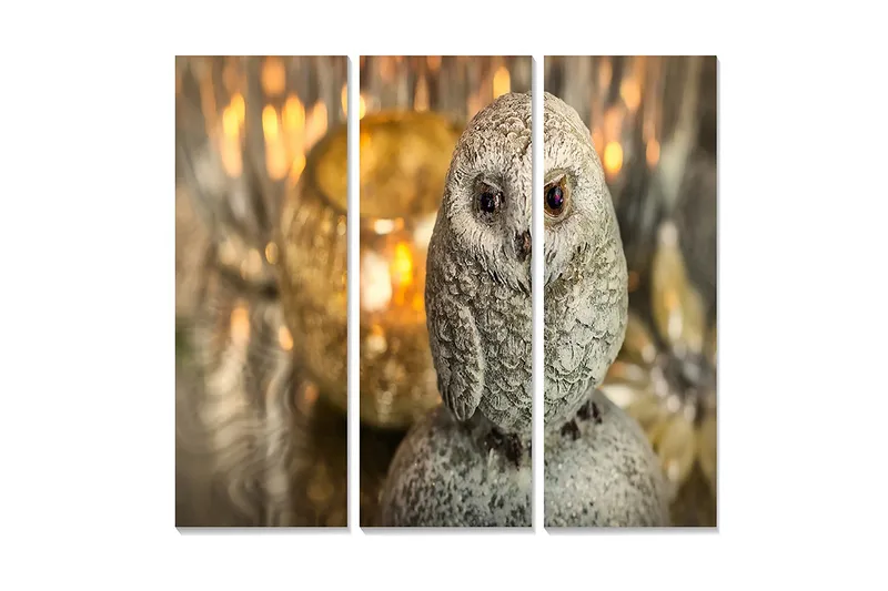 Trælærredstryk 3-delt 50x70 cm - Realistisk ugle i grå nuancer, Grå / Beige / Brun