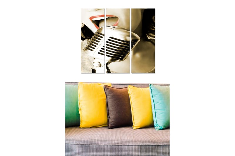 Trælærredstryk 3-delt 50x70 cm - Retro mikrofon med en sanger i fokus, Sort / Grå / Rød