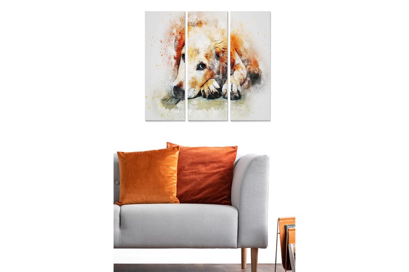 Trælærredstryk 3-delt 50x70 cm - Rolig hund hviler med hovedet på poterne - Orange / Hvid / Sort - Boligtilbehør - Billeder & kunst - Billeder på lærred