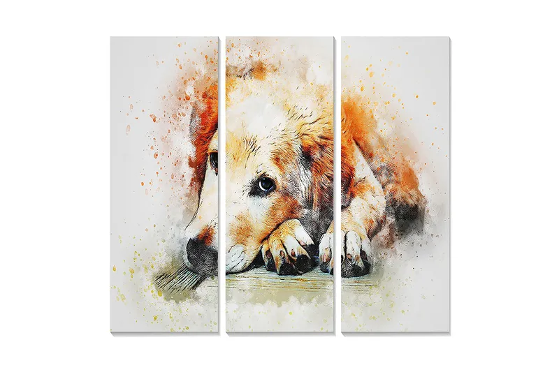 Trælærredstryk 3-delt 50x70 cm - Rolig hund hviler med hovedet på poterne, Orange / Hvid / Sort