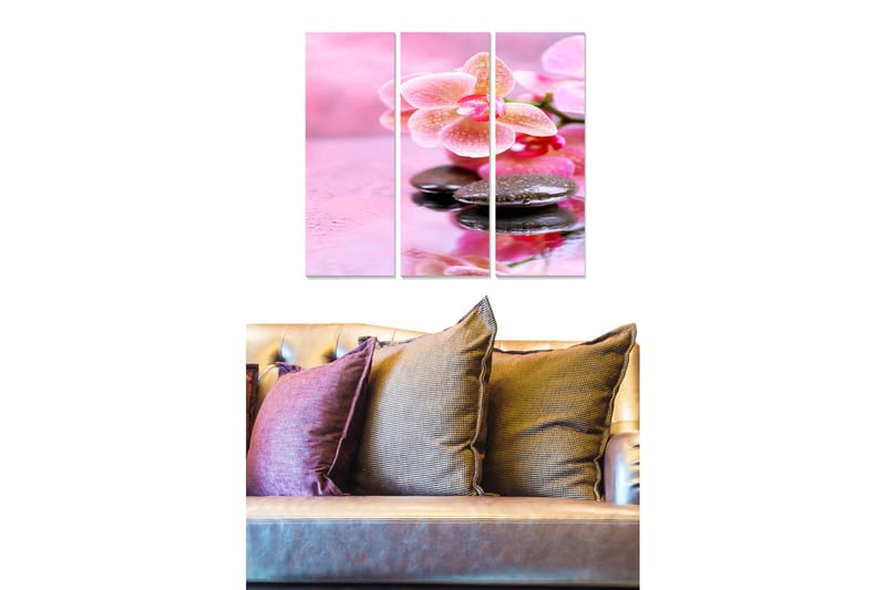 Trælærredstryk 3-delt 50x70 cm - Smuk orkidé med sten i vand, Lyserød / Sort / Grøn