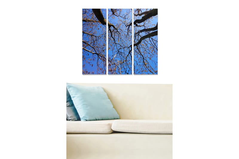 Trælærredstryk 3-delt 50x70 cm - Smuk udsigt over trætoppe mod en klar blå himmel, Blå / Brun / Guld