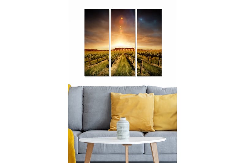Trælærredstryk 3-delt 50x70 cm - Smuk vingård under en solnedgang, Grøn / Guld / Blå