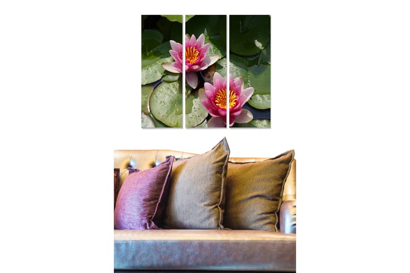 Trælærredstryk 3-delt 50x70 cm - Smukke åkander i en rolig vandoverflade, Lyserød / Grøn / Gul