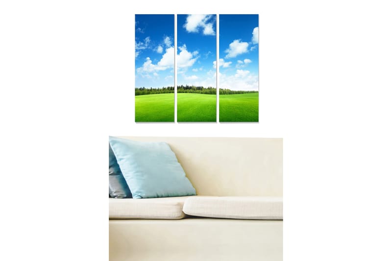 Trælærredstryk 3-delt 50x70 cm - Smukt landskab med grøn eng og blå himmel, Grøn / Blå