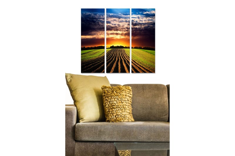 Trælærredstryk 3-delt 50x70 cm - Smukt landskab med solnedgang over marker, Grøn / Orange / Blå