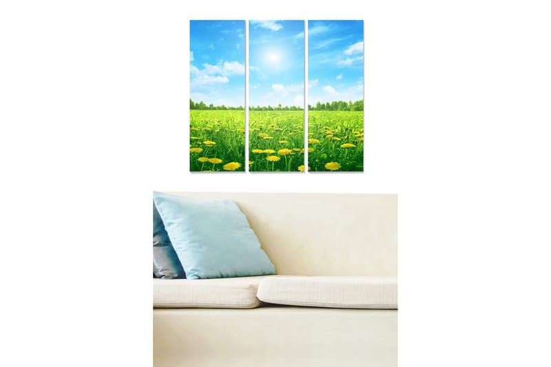 Trælærredstryk 3-delt 50x70 cm - Solrig eng med mælkebøtter og blå himmel, Grøn / Gul / Blå