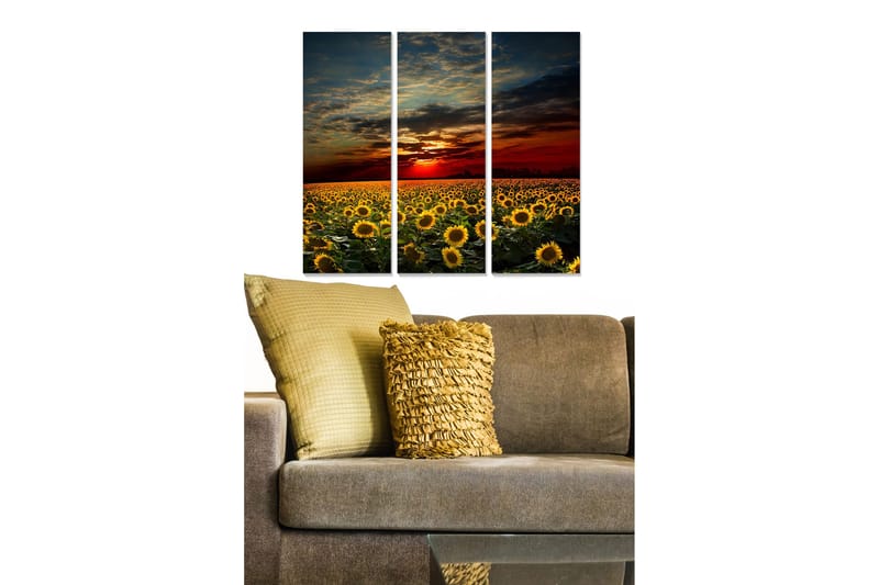 Trælærredstryk 3-delt 50x70 cm - Solsikkemark under en dramatisk solnedgang, Gul / Grøn / Orange