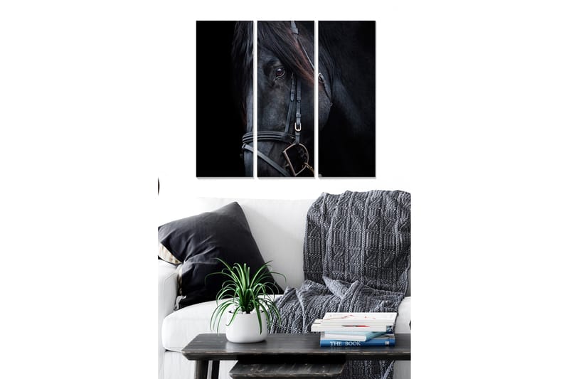 Trælærredstryk 3-delt 50x70 cm - Sort hesteportræt med fokus på øjnene, Sort / Grå / Brun