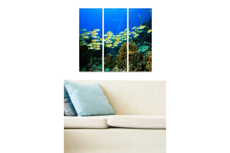 Trælærredstryk 3-delt 50x70 cm - Stime af farverige fisk i koralrevets dyb, Blå / Gul / Grøn