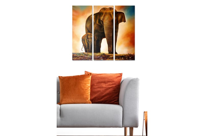Trælærredstryk 3-delt 50x70 cm - Storslået elefant med kalv i et varmt og dramatisk miljø - Brun / Orange / Beige - Boligtilbehør - Billeder & kunst - Billeder på lærred