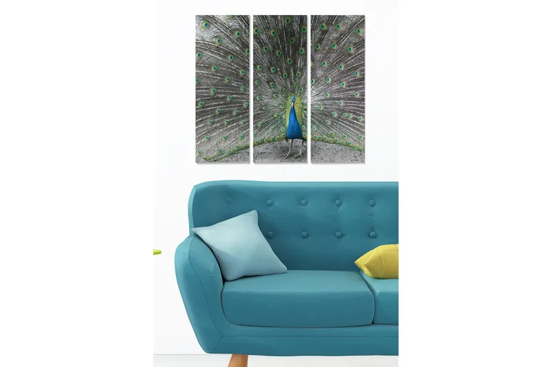 Trælærredstryk 3-delt 50x70 cm - Storslået påfugl med spredte fjer, Blå / Grøn / Grå