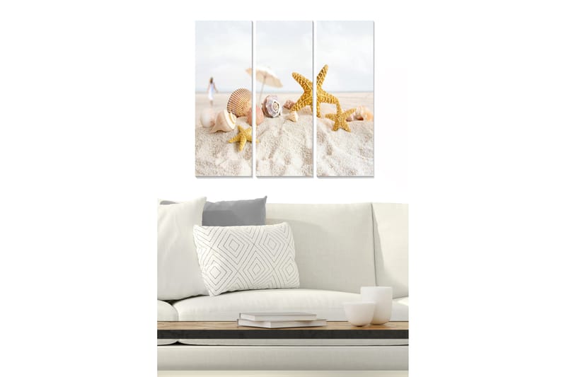Trælærredstryk 3-delt 50x70 cm - Strandmotiv med skaller og søstjerner, Guld / Beige / Hvid
