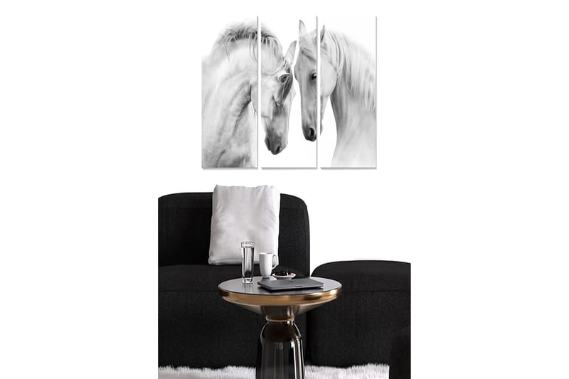 Trælærredstryk 3-delt 50x70 cm - To elegante hvide heste står tæt på hinanden, Hvid / Grå