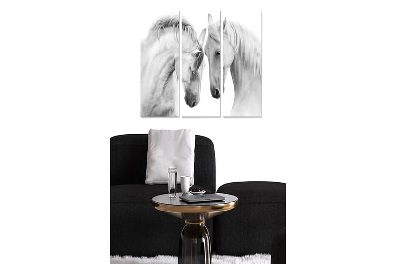 Trælærredstryk 3-delt 50x70 cm - To elegante hvide heste står tæt på hinanden, Hvid / Grå