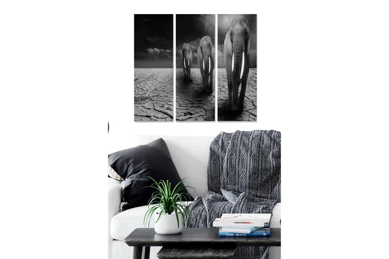 Trælærredstryk 3-delt 50x70 cm - Tre elefanter går hen over en revnet og tør jordoverflade - Sort / Grå / Hvid - Boligtilbehør - Billeder & kunst - Billeder på lærred