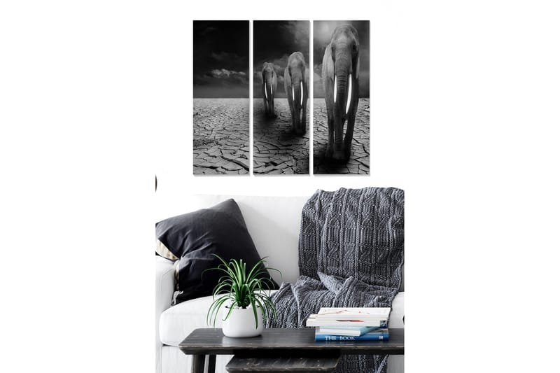 Trælærredstryk 3-delt 50x70 cm - Tre elefanter går hen over en revnet og tør jordoverflade, Sort / Grå / Hvid