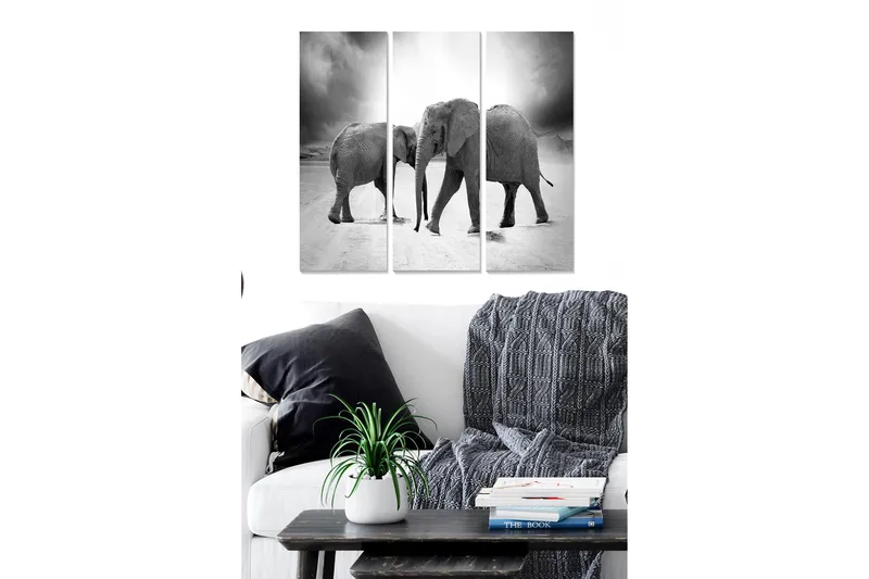 Trælærredstryk 3-delt 50x70 cm - Tre elefanter i sort-hvid komposition, Sort / Hvid / Grå