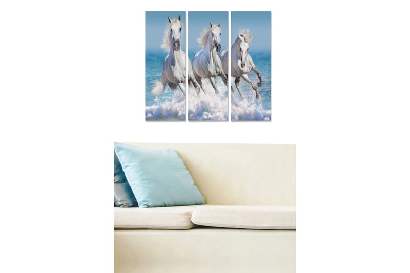 Trælærredstryk 3-delt 50x70 cm - Tre hvide heste galoperer gennem vand, Hvid / Blå / Turkis