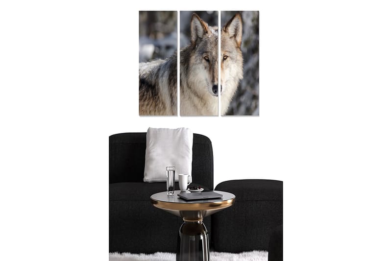 Trælærredstryk 3-delt 50x70 cm - Ulv i naturligt miljø med intenst blik, Grå / Beige / Brun