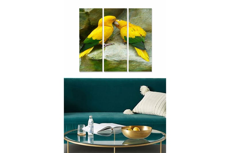 Trælærredstryk 3-delt 50x70 cm - Par farverige papegøjer viser ømhed over for hinanden, Gul / Grøn