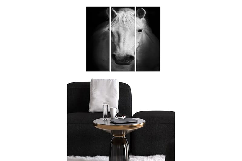 Trælærredstryk 3-delt 50x70 cm - Portræt af en hvid hest i sort-hvid, Hvid / Sort