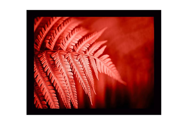 Vægdekoration MDF Maleri, undefined