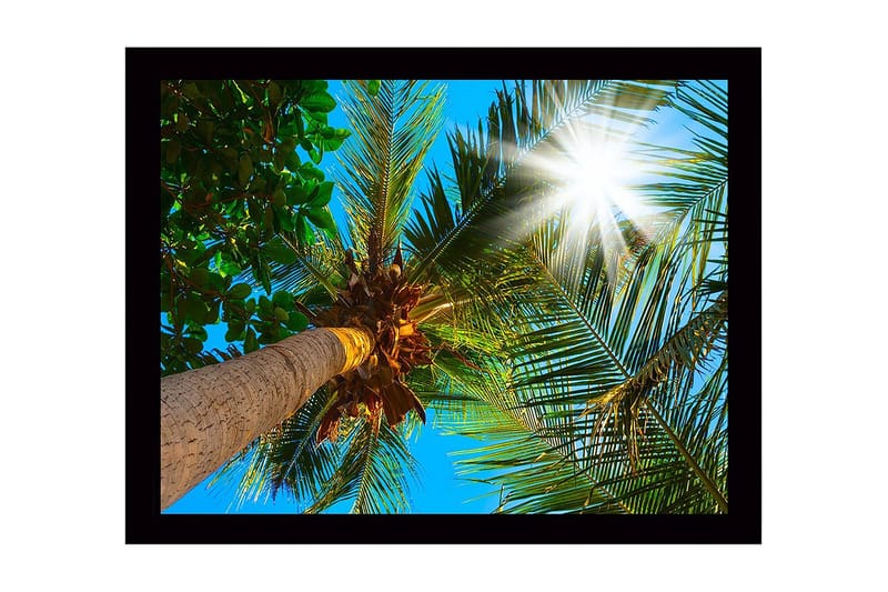 Vægdekoration MDF Maleri, undefined