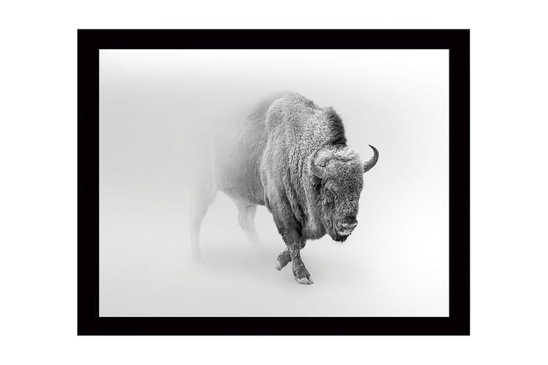 Vægdekoration MDF Maleri, undefined