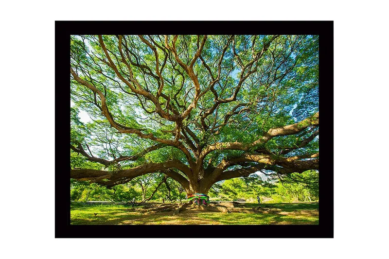 Vægdekoration MDF Maleri, undefined