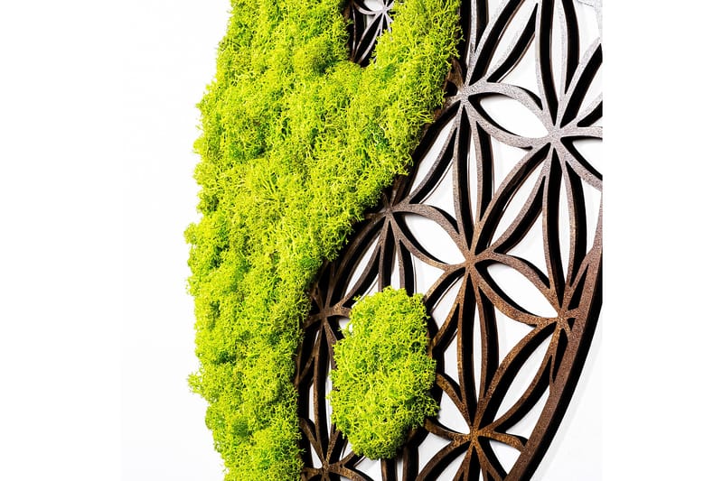 Yin Yang Canvasbillede - 44x44 cm - Boligtilbehør - Billeder & kunst - Billeder på lærred