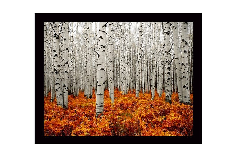 Dekorativ Indrammet MDF-maleri 41x56 cm - Flerfarvet - Boligtilbehør - Billeder & kunst