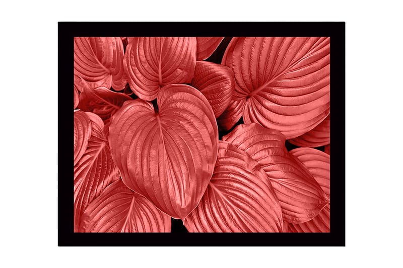 Dekorativ Indrammet MDF-maleri 41x56 cm - Flerfarvet - Boligtilbehør - Billeder & kunst