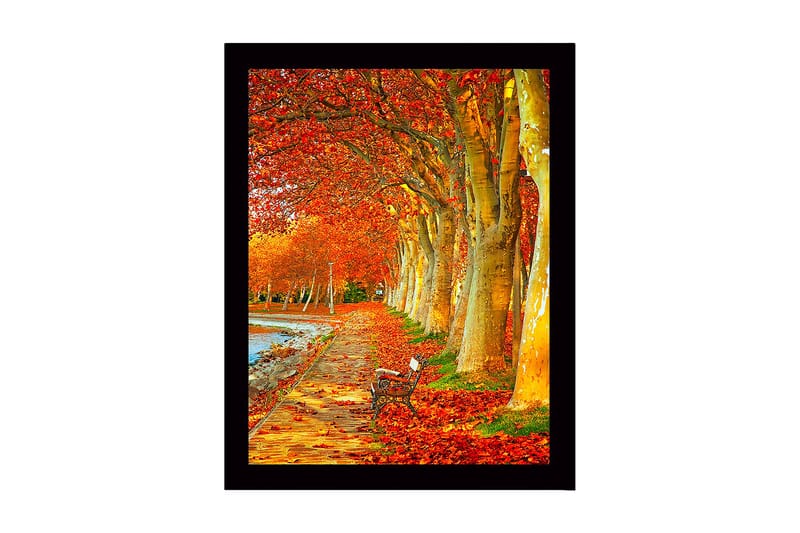 Dekorativ Indrammet MDF-maleri 41x56 cm, Flerfarvet