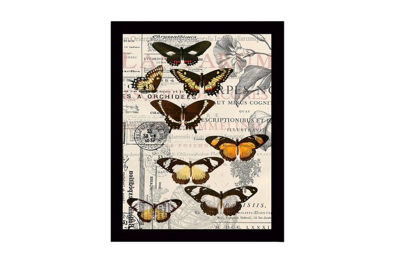 Dekorativ Indrammet MDF-maleri 41x56 cm, Flerfarvet