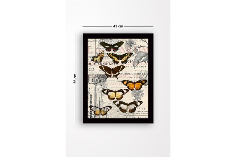 Dekorativ Indrammet MDF-maleri 41x56 cm - Flerfarvet - Boligtilbehør - Billeder & kunst